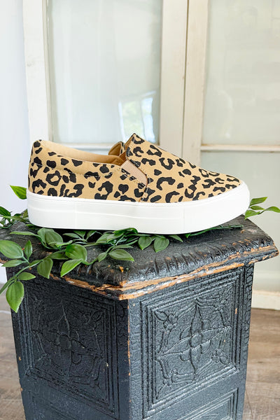 Size 5.5// Leopard Canvas Slip On Sneakers