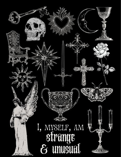 Strange & Unusual Tee (Preorder)