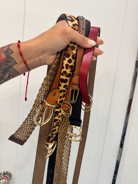 Belt BUNDLE