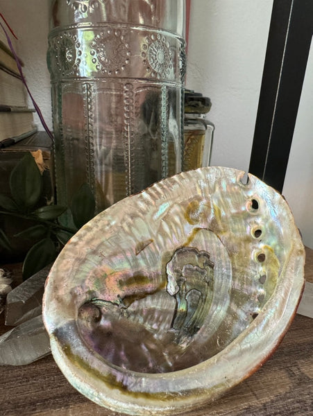 Natural Abalone Shell